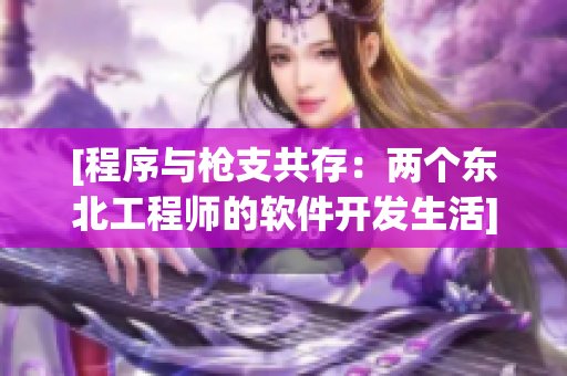 [程序与枪支共存：两个东北工程师的软件开发生活]