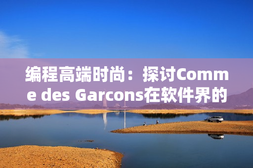 编程高端时尚：探讨Comme des Garcons在软件界的潜力