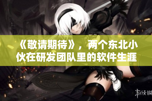 《敬请期待》，两个东北小伙在研发团队里的软件生涯