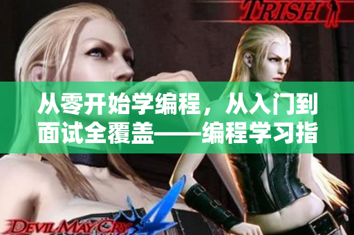 从零开始学编程，从入门到面试全覆盖——编程学习指南