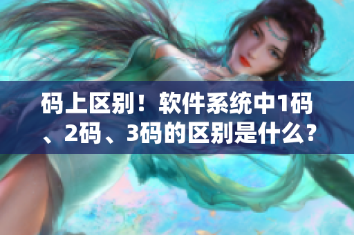 码上区别！软件系统中1码、2码、3码的区别是什么？