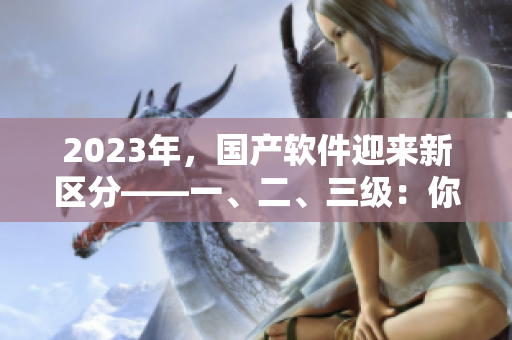 2023年，国产软件迎来新区分——一、二、三级：你知道它们的差别吗？