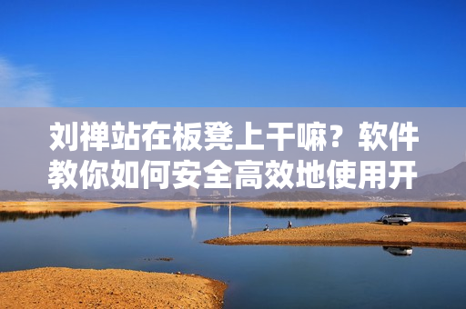 刘禅站在板凳上干嘛？软件教你如何安全高效地使用开发工具