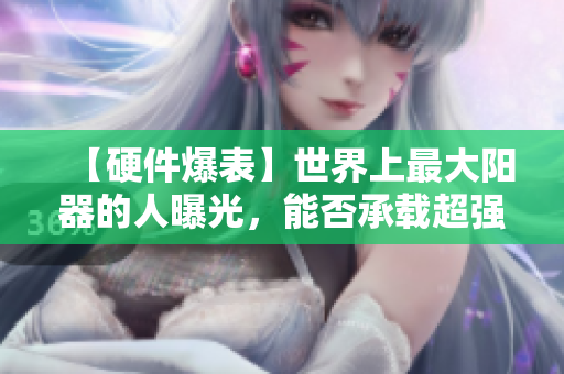 【硬件爆表】世界上最大阳器的人曝光，能否承载超强软件需求？！