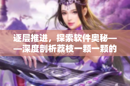 逐层推进，探索软件奥秘——深度剖析荔枝一颗一颗的开发过程