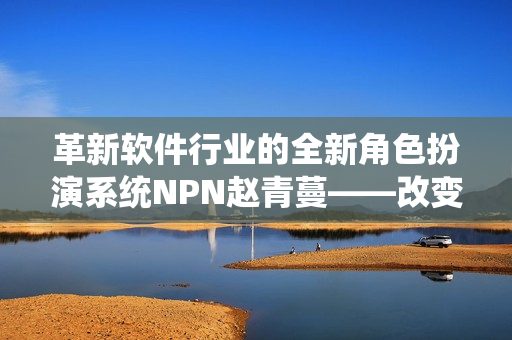 革新软件行业的全新角色扮演系统NPN赵青蔓——改变你的程序员生涯