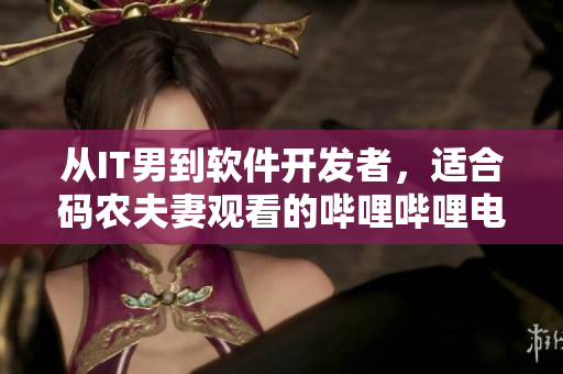 从IT男到软件开发者，适合码农夫妻观看的哔哩哔哩电视剧推荐