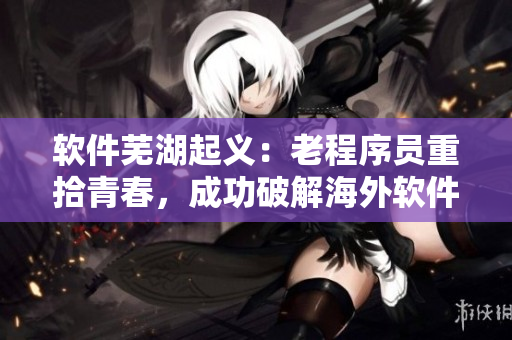 软件芜湖起义：老程序员重拾青春，成功破解海外软件九章