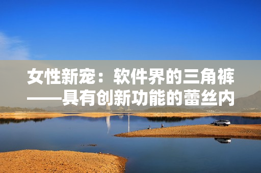 女性新宠：软件界的三角裤——具有创新功能的蕾丝内裤