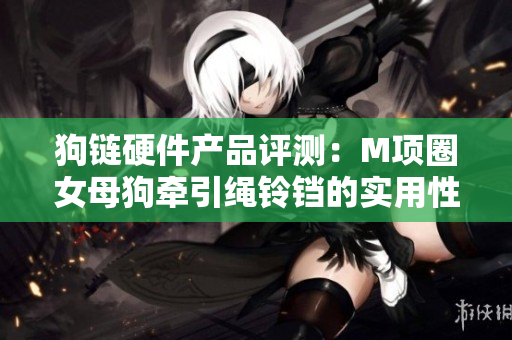 狗链硬件产品评测：M项圈女母狗牵引绳铃铛的实用性分析