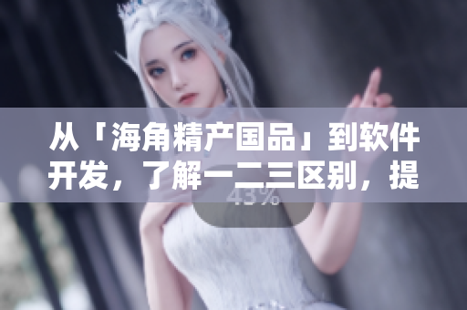 从「海角精产国品」到软件开发，了解一二三区别，提高开发效率！