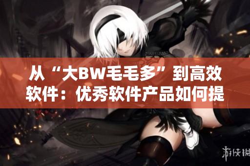 从“大BW毛毛多”到高效软件：优秀软件产品如何提高生产力