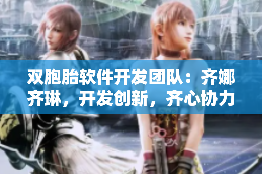 双胞胎软件开发团队：齐娜齐琳，开发创新，齐心协力。