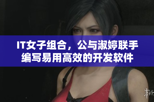 IT女子组合，公与淑婷联手编写易用高效的开发软件