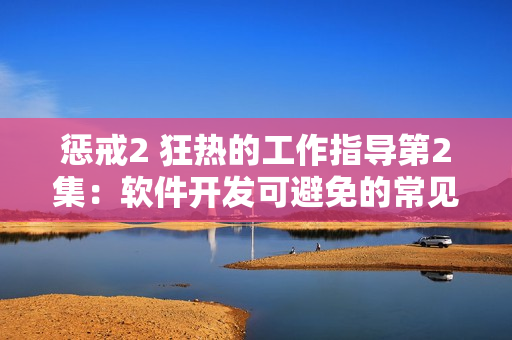 惩戒2 狂热的工作指导第2集：软件开发可避免的常见错误