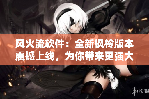 风火流软件：全新枫柃版本震撼上线，为你带来更强大的编程体验！