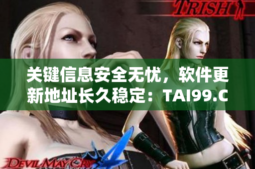 关键信息安全无忧，软件更新地址长久稳定：TAI99.CC