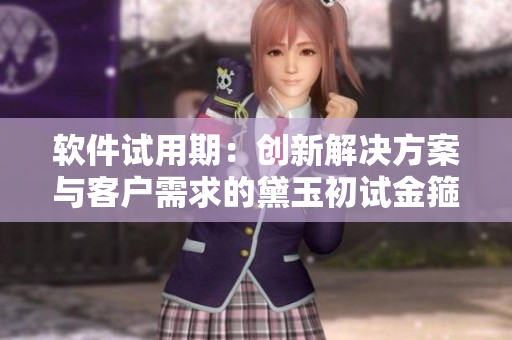 软件试用期：创新解决方案与客户需求的黛玉初试金箍棒