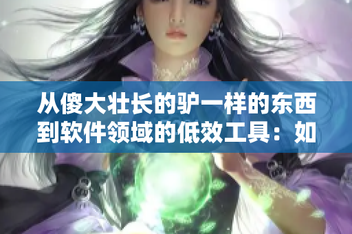 从傻大壮长的驴一样的东西到软件领域的低效工具：如何优化你的工作流程