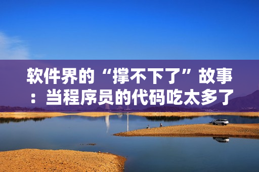 软件界的“撑不下了”故事：当程序员的代码吃太多了怎么办？