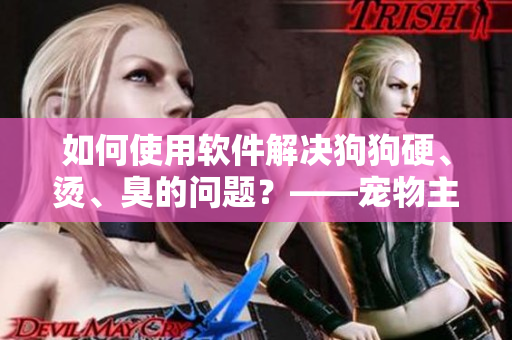 如何使用软件解决狗狗硬、烫、臭的问题？——宠物主人必备技巧！