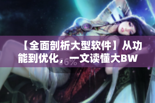 【全面剖析大型软件】从功能到优化，一文读懂大BW毛毛多的奥秘