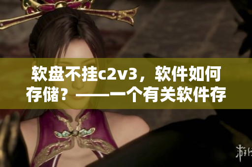 软盘不挂c2v3，软件如何存储？——一个有关软件存储的讨论