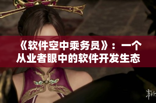 《软件空中乘务员》：一个从业者眼中的软件开发生态描绘