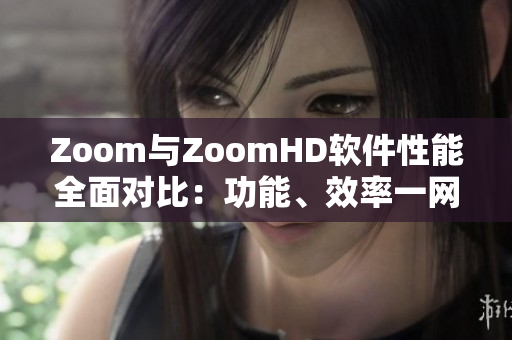 Zoom与ZoomHD软件性能全面对比：功能、效率一网打尽