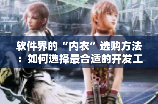 软件界的“内衣”选购方法：如何选择最合适的开发工具？