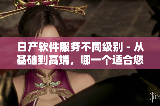 日产软件服务不同级别 - 从基础到高端，哪一个适合您？