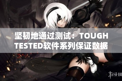 坚韧地通过测试：TOUGHTESTED软件系列保证数据安全性