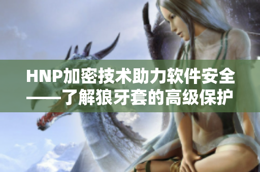 HNP加密技术助力软件安全——了解狼牙套的高级保护功能