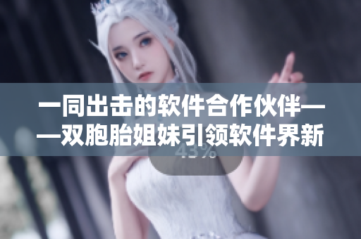一同出击的软件合作伙伴——双胞胎姐妹引领软件界新潮流
