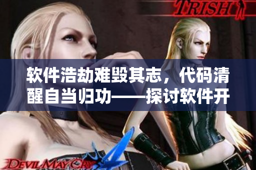 软件浩劫难毁其志，代码清醒自当归功——探讨软件开发中的坚韧精神