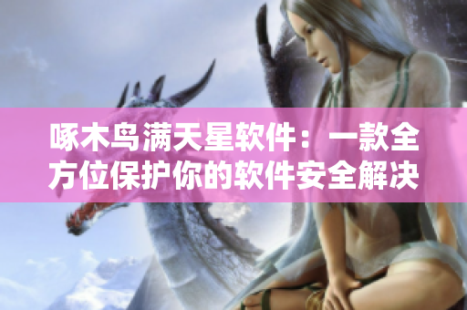 啄木鸟满天星软件：一款全方位保护你的软件安全解决方案