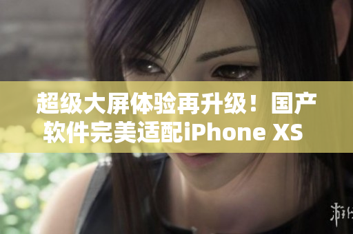 超级大屏体验再升级！国产软件完美适配iPhone XS Max