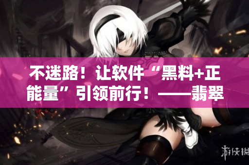 不迷路！让软件“黑料+正能量”引领前行！——翡翠手镯启示录