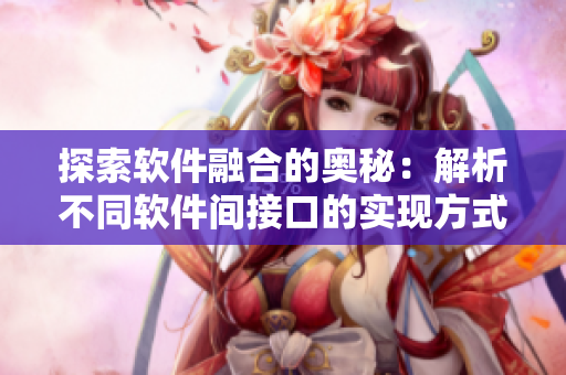 探索软件融合的奥秘：解析不同软件间接口的实现方式