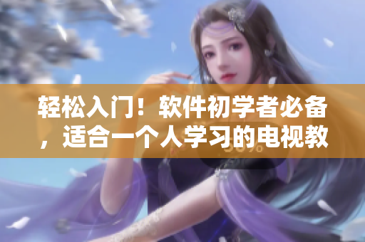轻松入门！软件初学者必备，适合一个人学习的电视教程指南