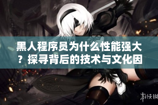 黑人程序员为什么性能强大？探寻背后的技术与文化因素