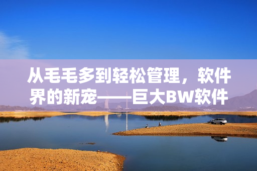 从毛毛多到轻松管理，软件界的新宠——巨大BW软件介绍