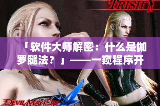 「软件大师解密：什么是伽罗腿法？」——一窥程序开发的神秘奥秘