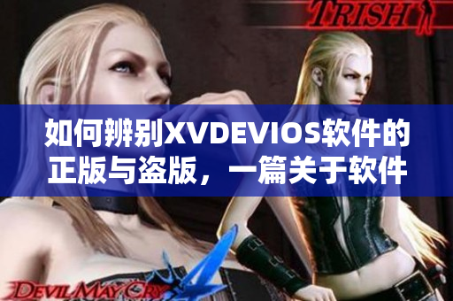 如何辨别XVDEVIOS软件的正版与盗版，一篇关于软件版权保护的文章。