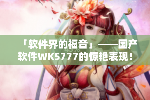 「软件界的福音」——国产软件WK5777的惊艳表现！