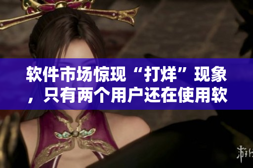 软件市场惊现“打烊”现象，只有两个用户还在使用软件！