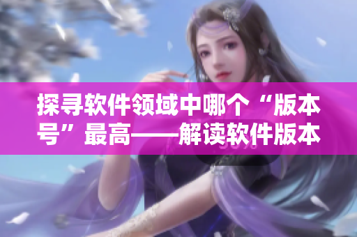 探寻软件领域中哪个“版本号”最高——解读软件版本号的奥义