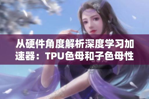 从硬件角度解析深度学习加速器：TPU色母和子色母性能比较