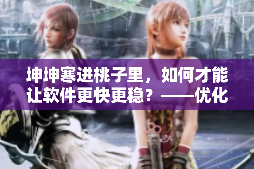 坤坤寒进桃子里，如何才能让软件更快更稳？——优化技巧分享