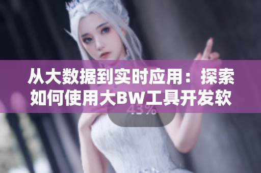 从大数据到实时应用：探索如何使用大BW工具开发软件